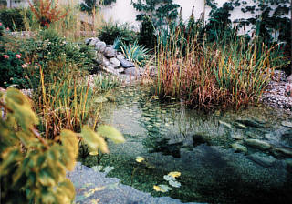 Gartenteich herkömmlicher Machart